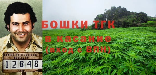 мяу мяу мука Аркадак
