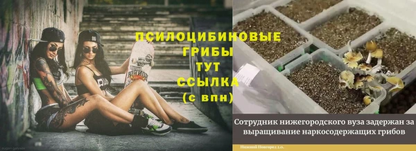 мяу мяу мука Аркадак