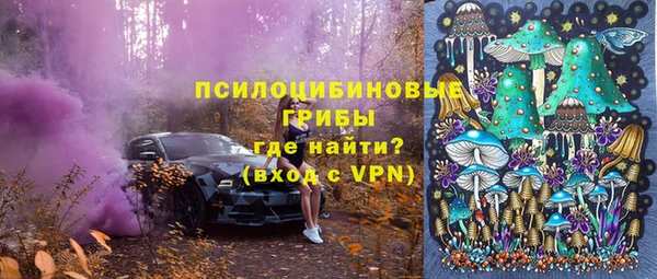 мяу мяу мука Аркадак